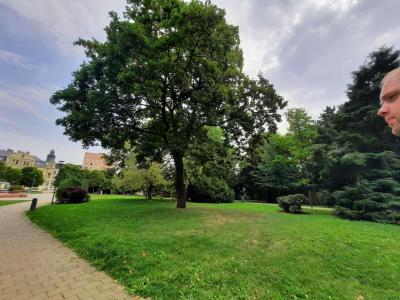 OPAVA