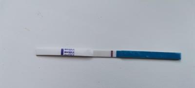 Testování a těhotenský test | MS o 7 dřív a duch na testu