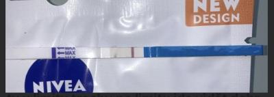 Testování a těhotenský test | Testování přes MS. Testy