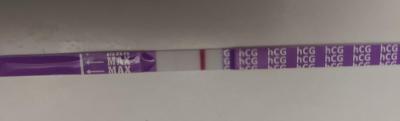 Testování a těhotenský test | Stále pozitivní Mamatest, ostatní TT negativní