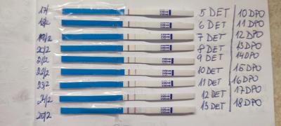 Centra asistované reprodukce | IVF leden 2022