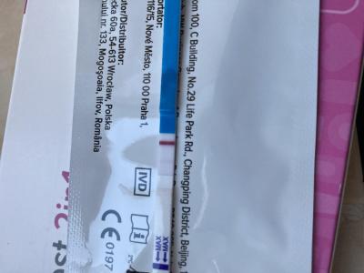 Snažení | Test - 2/5 dnů před MS