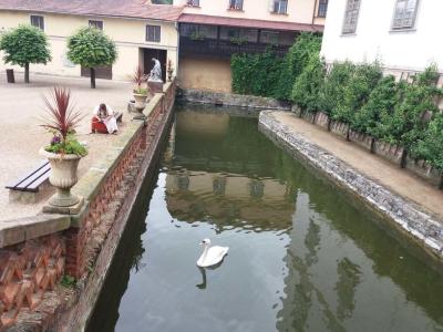 LYSICE