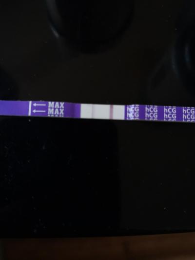 Tt