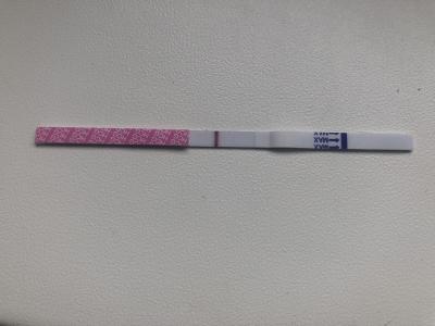 Testování a těhotenský test | Těhotenský test,vidíte ducha?