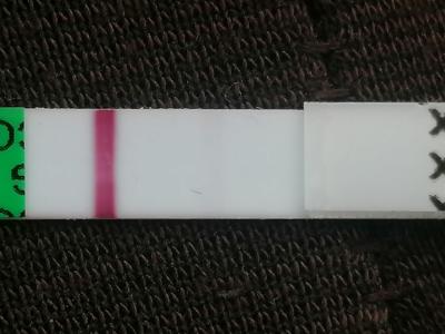Testování a těhotenský test | Test Intimed Pregnancy