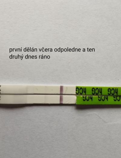 Testování a těhotenský test | Těhotenský test pepino // duch?