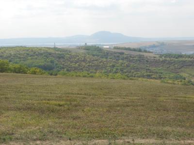 HUSTOPEČE
