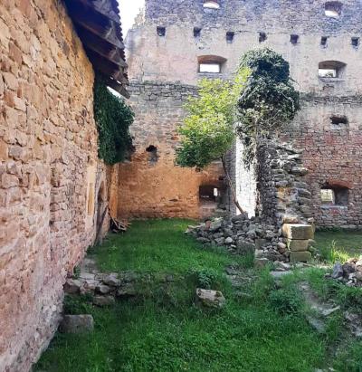 Zřícenina tvrze Vyšehořovice