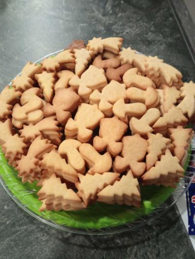 Těhotenství | TP prosinec 2021