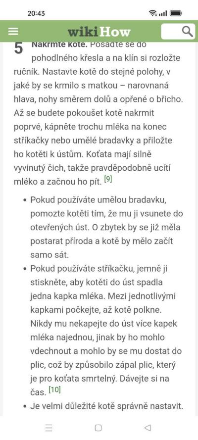 Zvířata | Kotě - rychlá rada