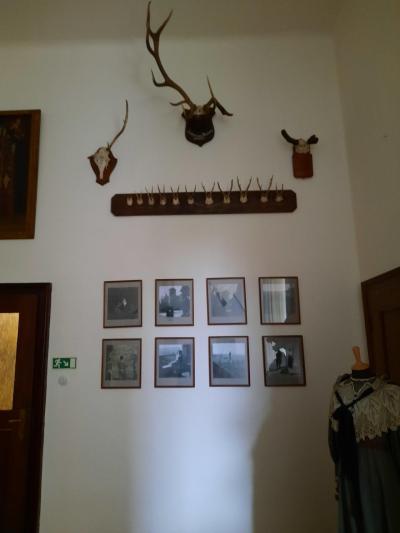 ŠTERNBERK
