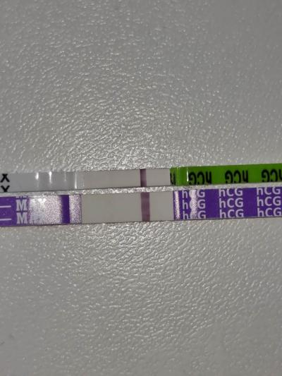 Testování a těhotenský test | Duch v den MS