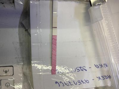 Testování a těhotenský test | Slabá čárka na testu, špinění. Jsem těhotná?