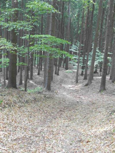 ZUBŠTEJN