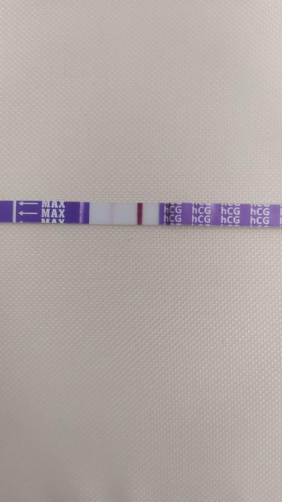 Testování a těhotenský test | Kdy jste měli ducha na testu?