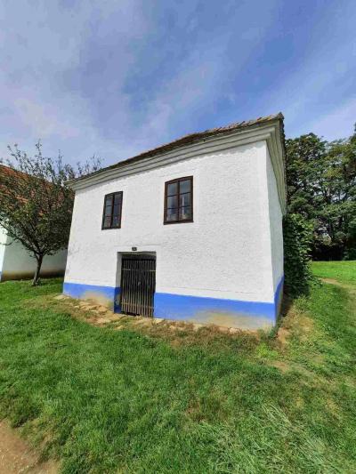 SKANZEN