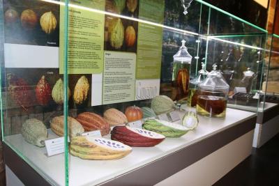 Muzeum čokolády