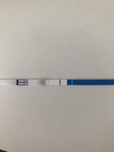 Testování a těhotenský test | Možné těhotenství při MS