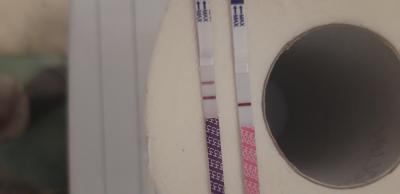 Centra asistované reprodukce | Ivf jaro 2022