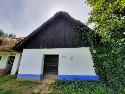 SKANZEN