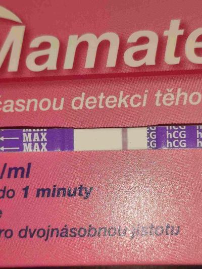 Testování a těhotenský test | Vidíte ducha, nebo ne?