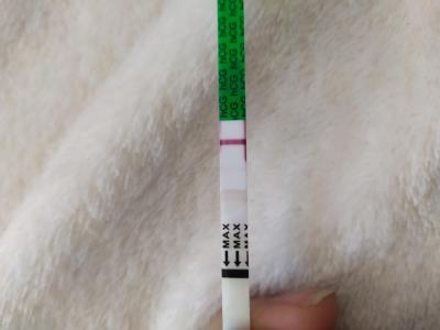 Testování a těhotenský test | Test Intimed Pregnancy