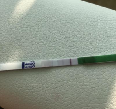 Testování a těhotenský test | Bude ještě ovulace, když už beru Progestron?