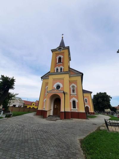 KNĚŽDUB
