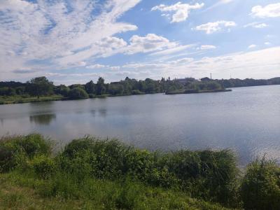 Kyjský rybník