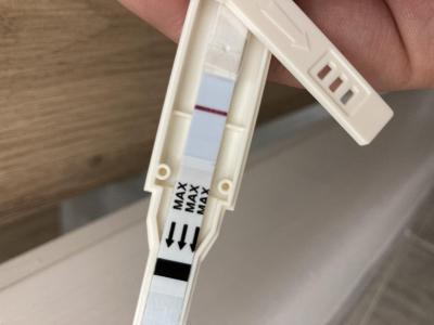 Testování a těhotenský test | Testování listopad 2022