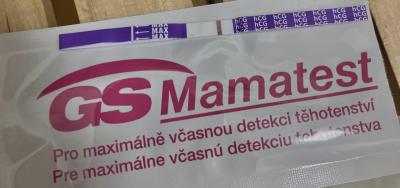 Testování a těhotenský test | Testování přes MS testy