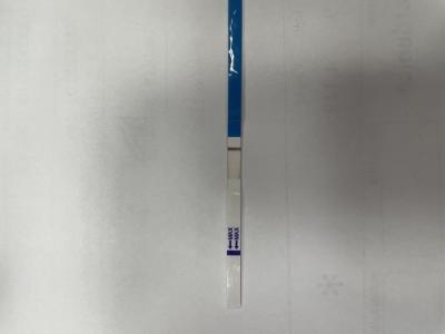 Testování a těhotenský test | Duch na tt 5 dní před MS