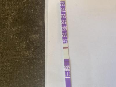 Testování a těhotenský test | Mama test
