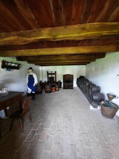 SKANZEN