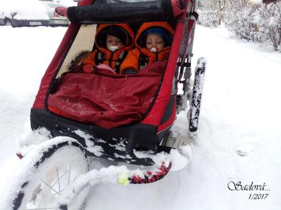Trojkolky | Baby jogger vs vozík za kolo?