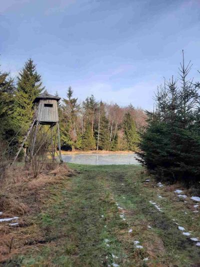 PROCHÁZKA 31.12.2022