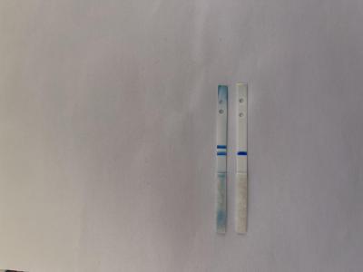 Testování a těhotenský test | TT Clearblue negativní, po otevření druhá čárka