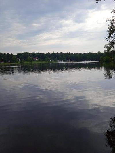 Zvůle
