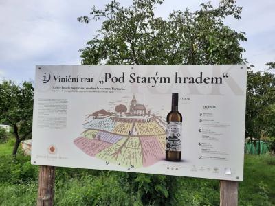 BZENEC