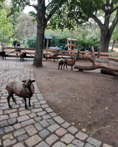 Zoo Dresden
