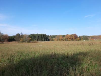 Procházka
