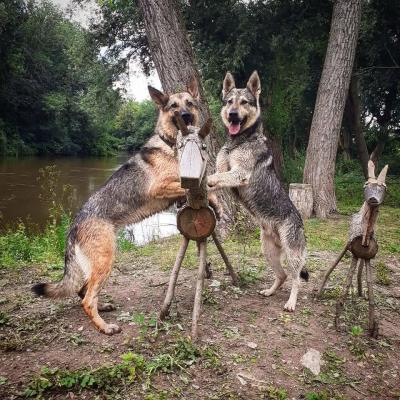 Vše možné | Fotograf živnost
