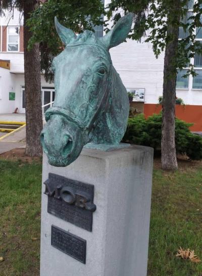 Závodiště Pardubice