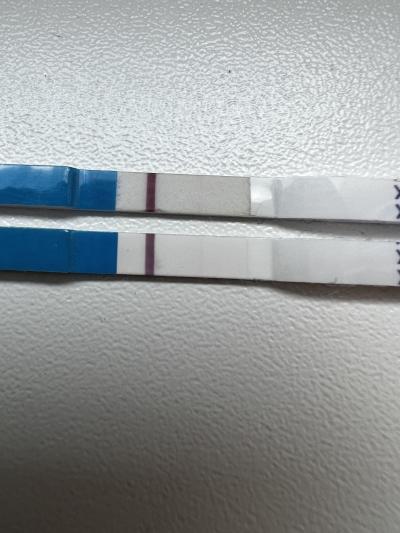 Testování a těhotenský test | Slabej duch na těhotenským testu