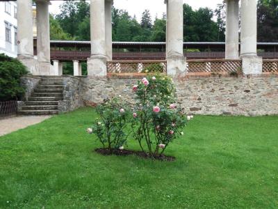 LYSICE