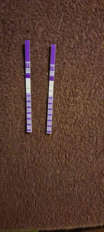 Testování a těhotenský test | Jeto pozitivní?