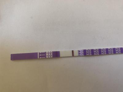 Testování a těhotenský test | Mama test