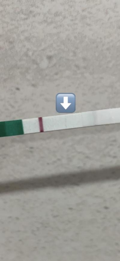Testování a těhotenský test | ČEKÁNÍ NA TESTOVÁNÍ