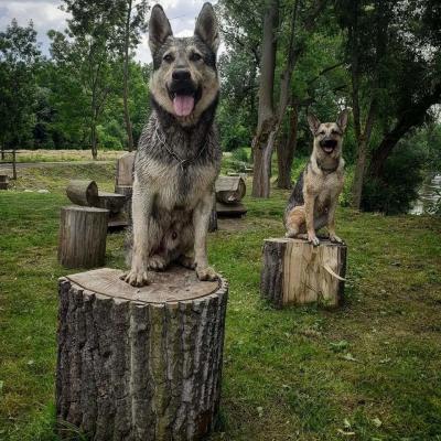 Vše možné | Fotograf živnost